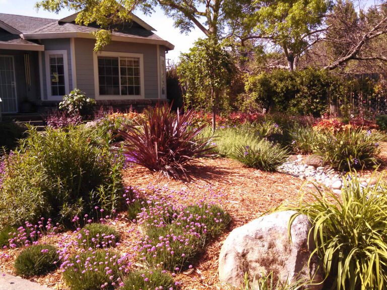 snowden-landscape-design-a-front-lawn-becomes-a-dry-stream-1