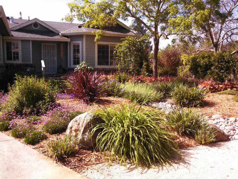 snowden-landscape-design-a-front-lawn-becomes-a-dry-stream-5